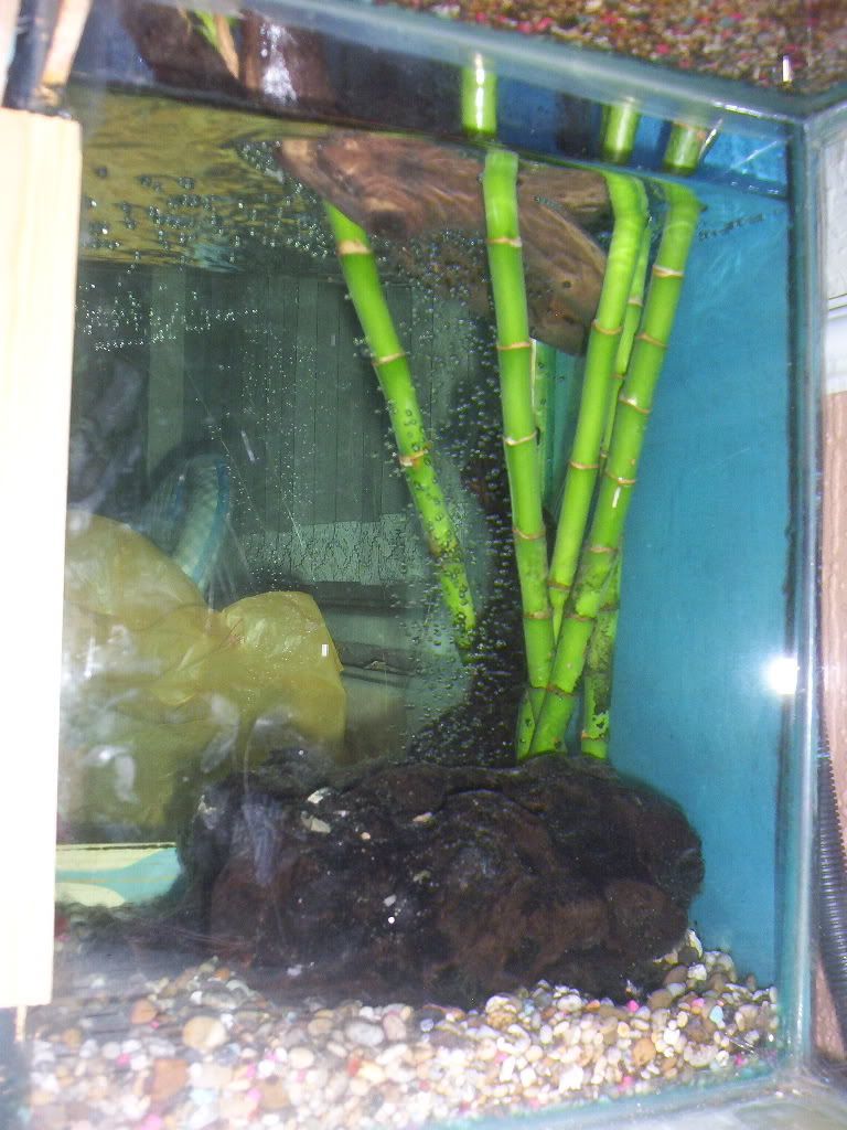 100_2074.jpg