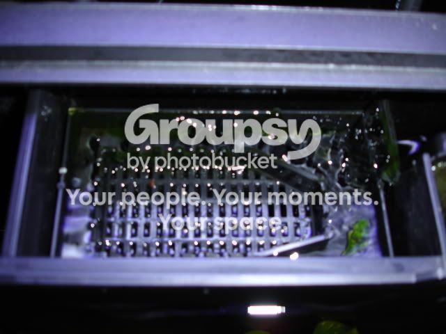 DSC04238.jpg
