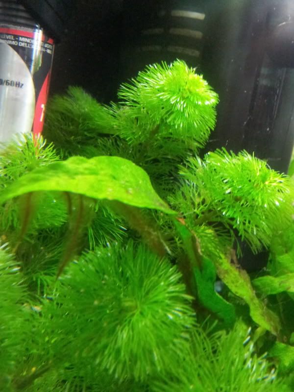2012-04-01183028.jpg
