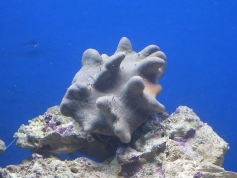 DSCF0189.jpg