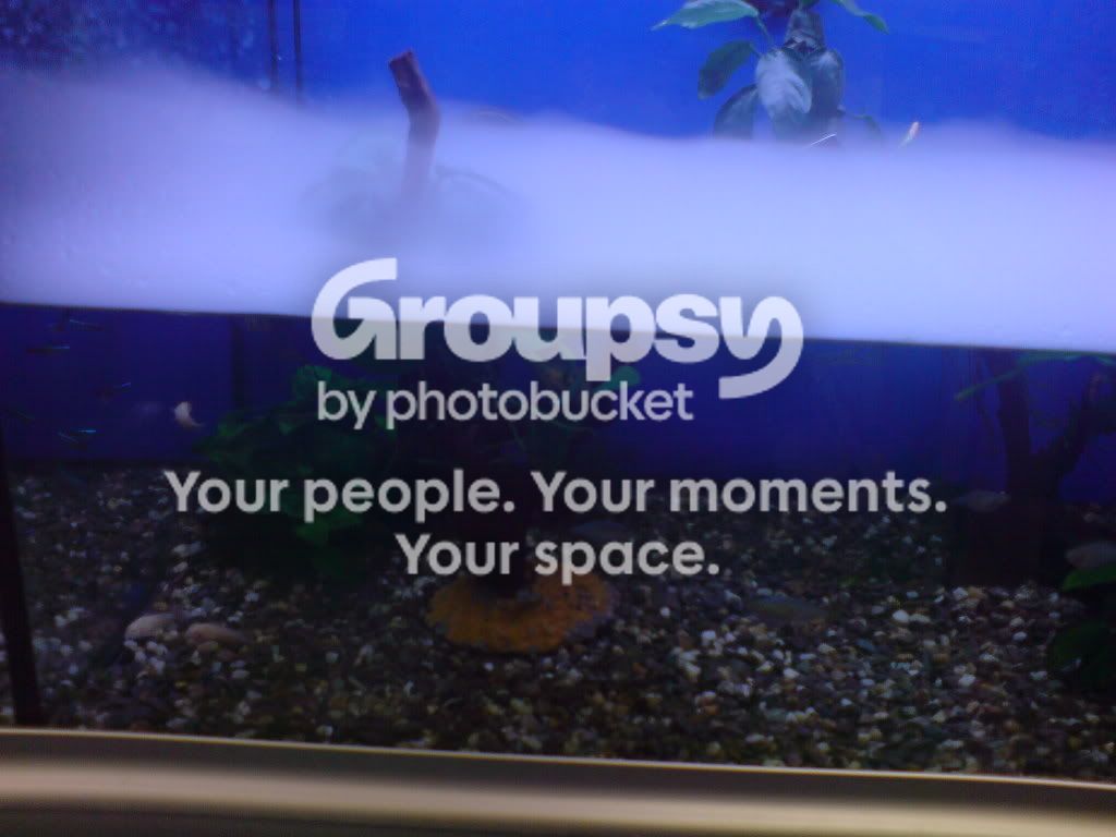 DSC00021-1.jpg