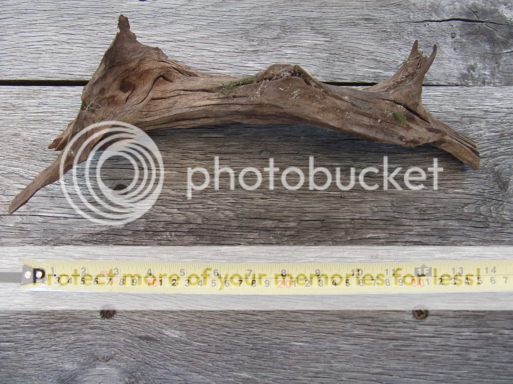 DSCF0082.jpg