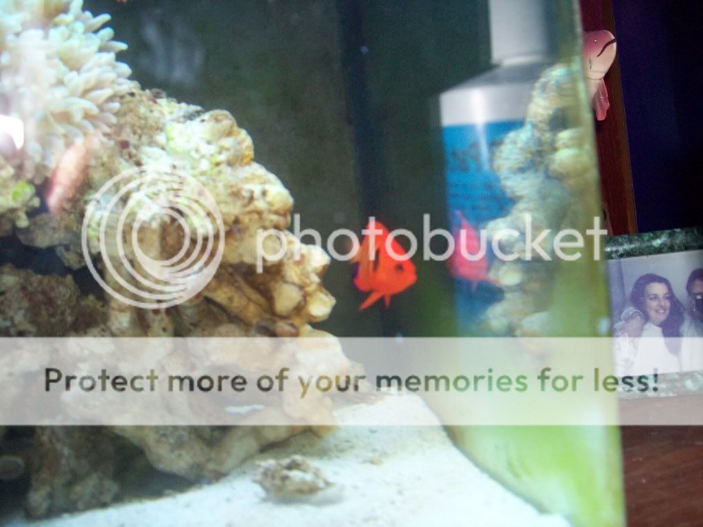 aquarium005.jpg
