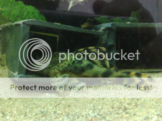 11082008130.jpg