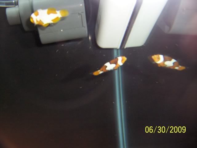 100_7012.jpg