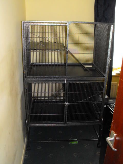 2010_0311newcage0003.jpg