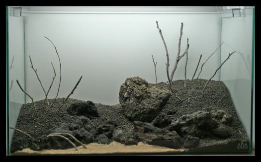 hardscape3_fall2006.jpg