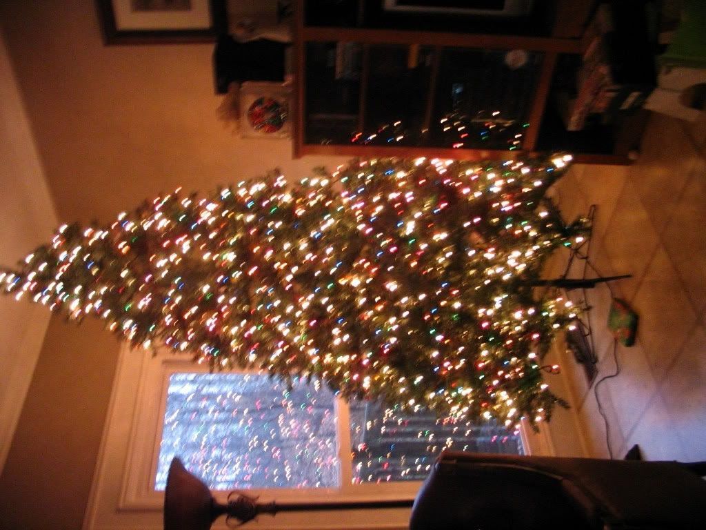 IMG_4502.jpg