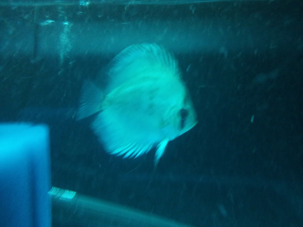 2012-06-09212457.jpg