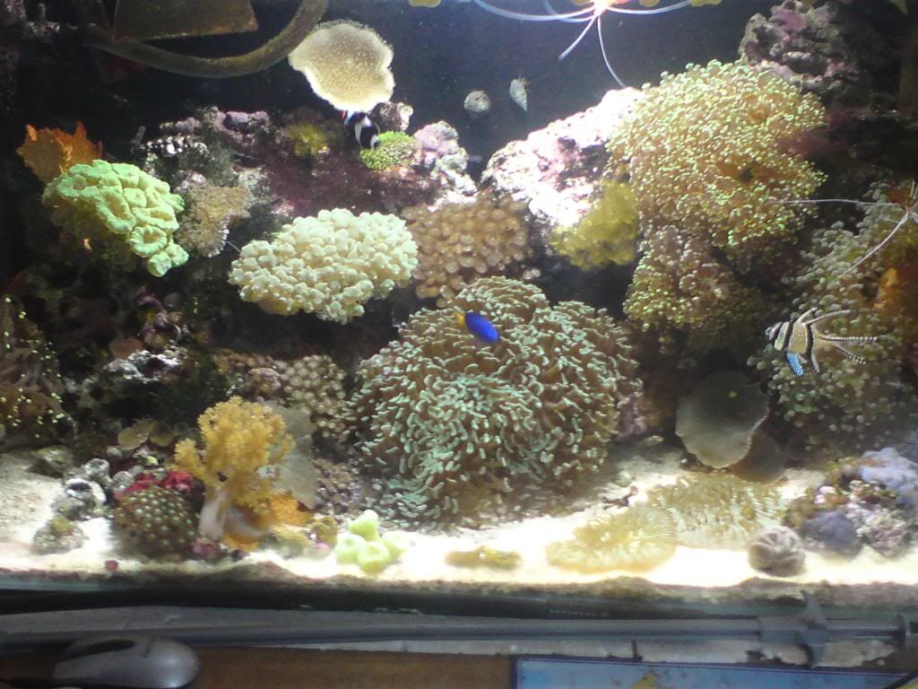 DSC00003-1.jpg