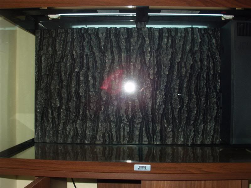 P1010235Medium.jpg