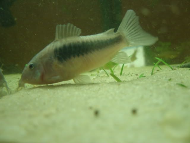 GEDC0648.jpg