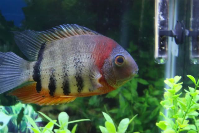 RotkeilNov92011-1.jpg