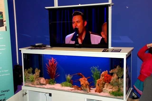 08065ca0.jpg