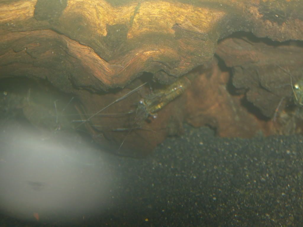 S7002514.jpg