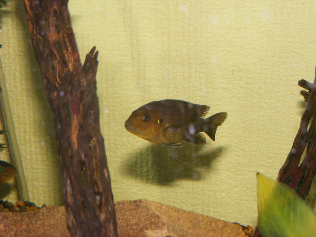 DSCF3047.jpg