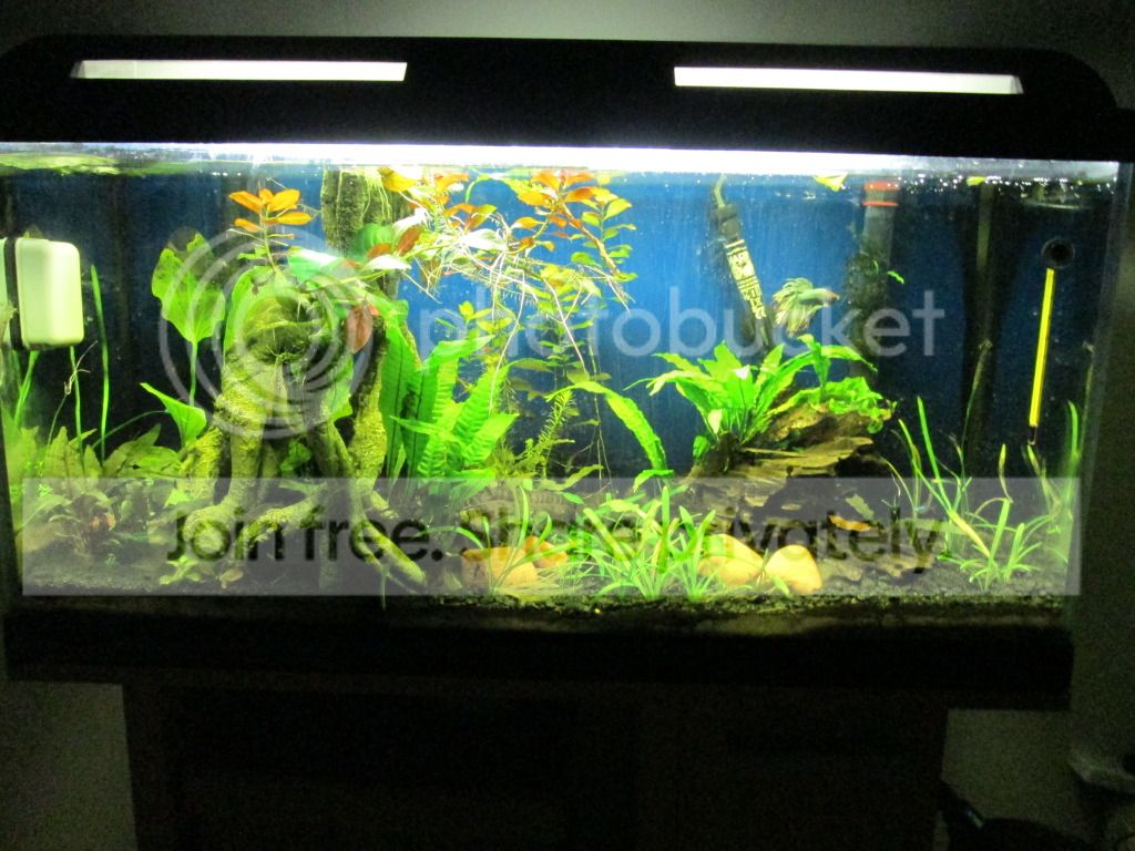 fishtank007.jpg
