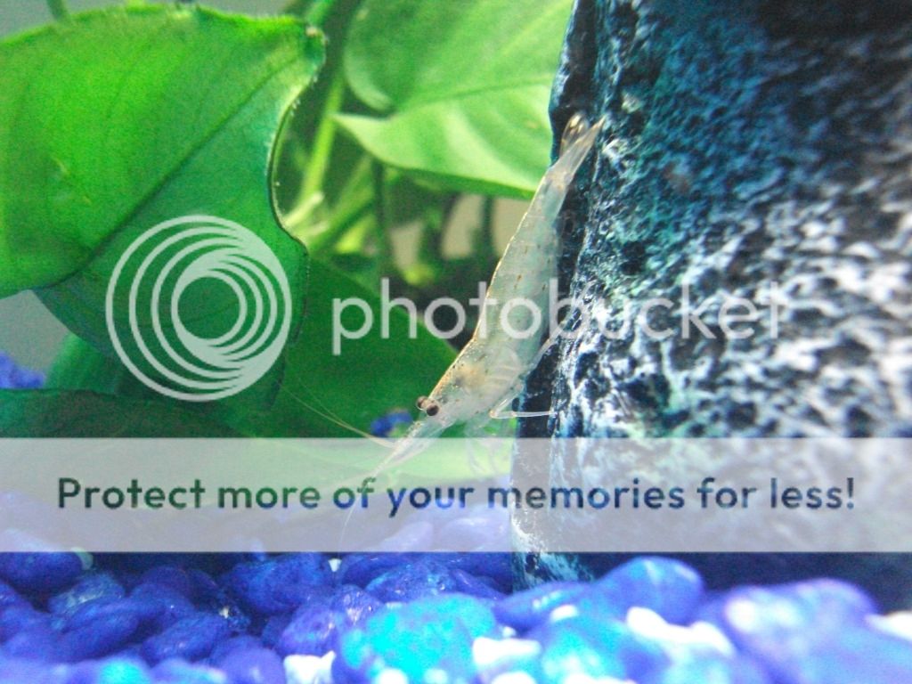 DSCF3974.jpg