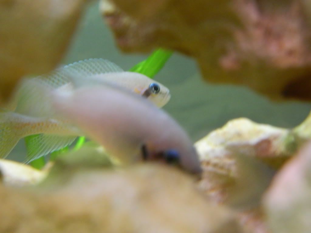 DSCN1172.jpg