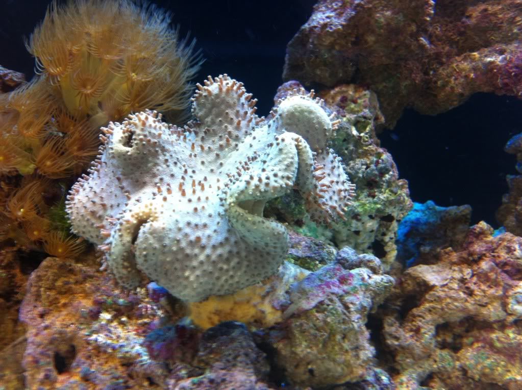 IMG_1109.jpg