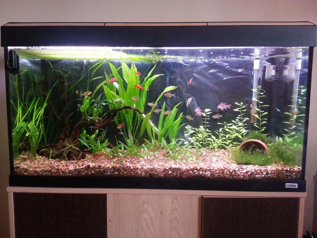20120812_120616.jpg
