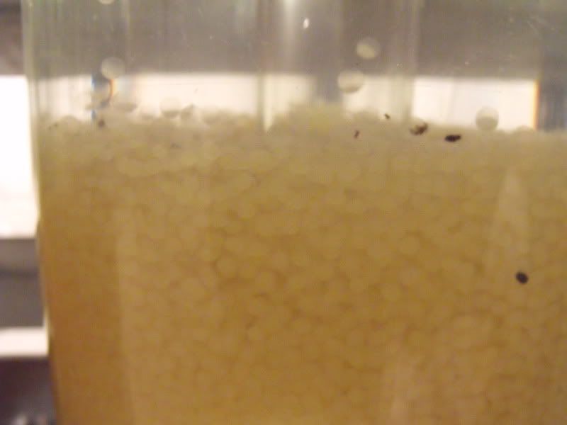 DSCF1071.jpg