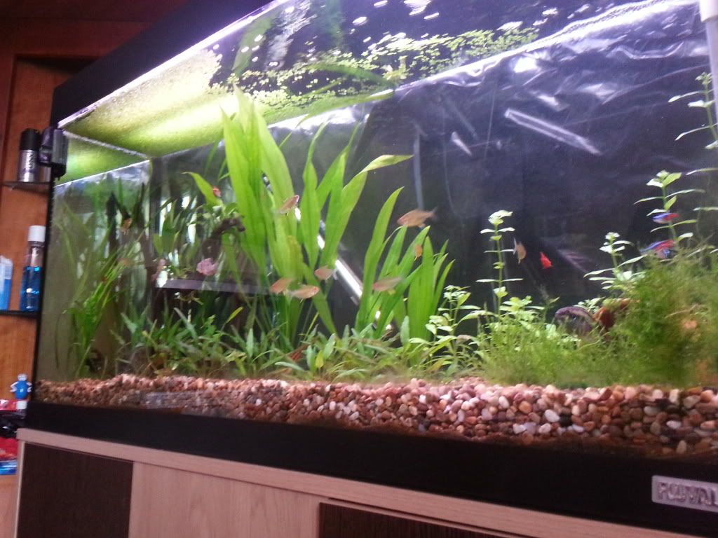 20120812_121751.jpg