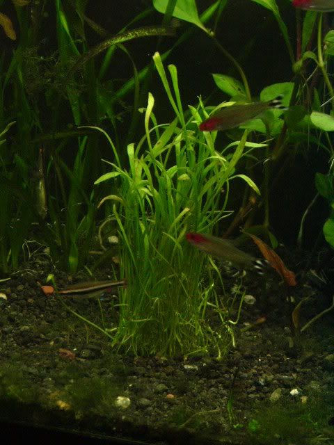 DSCF1587.jpg