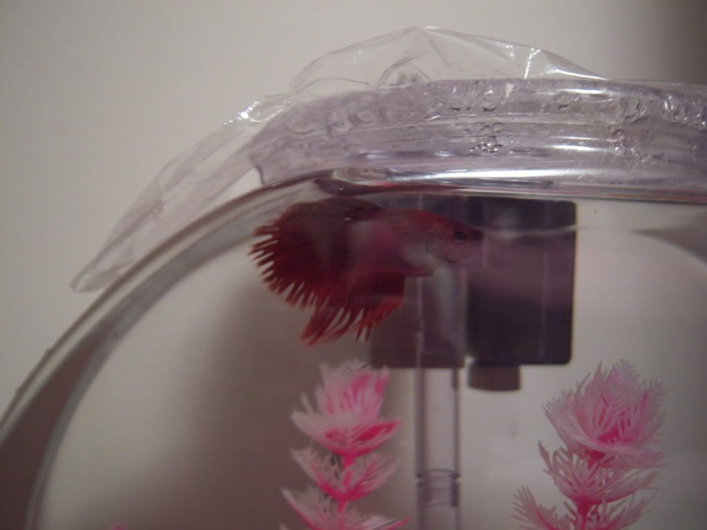 100_2369.jpg