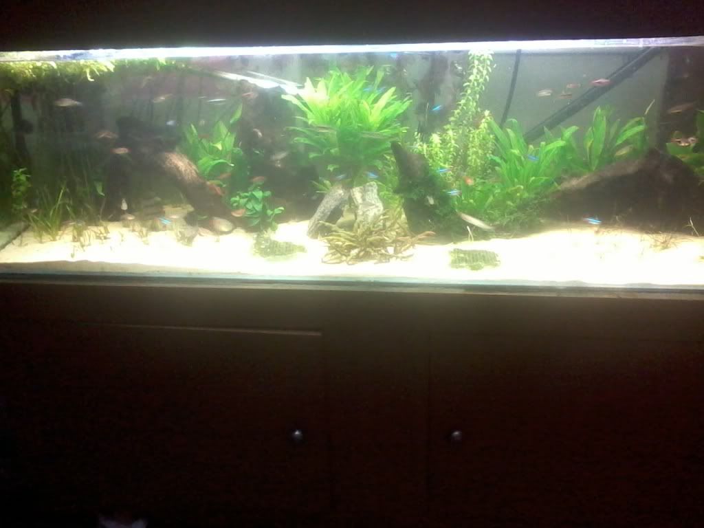 2011-04-23214642.jpg