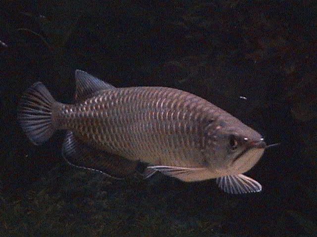 DSC00211.jpg