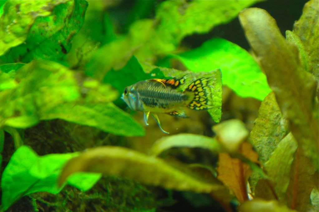 DSC_0160.jpg