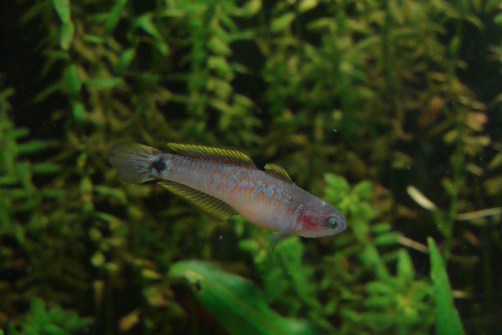 DSC08623.jpg