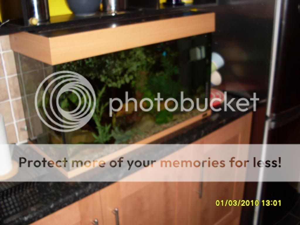 march2010024.jpg