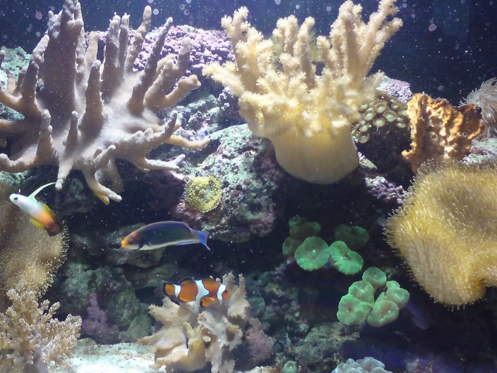 DSC00006-2.jpg