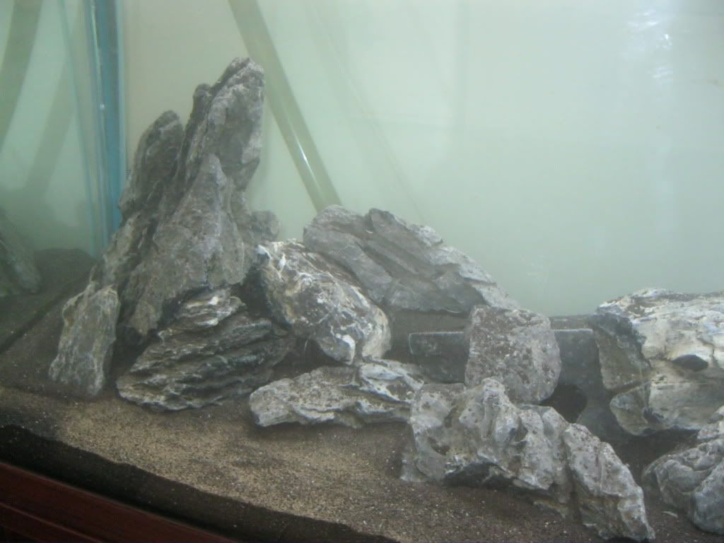 IMG_0126.jpg