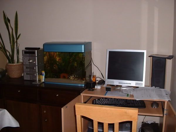 Picture1196.jpg