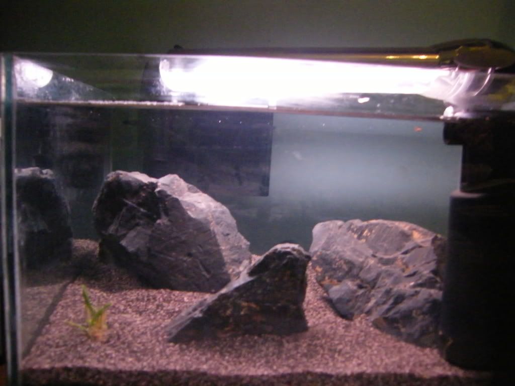 DSCF4548.jpg