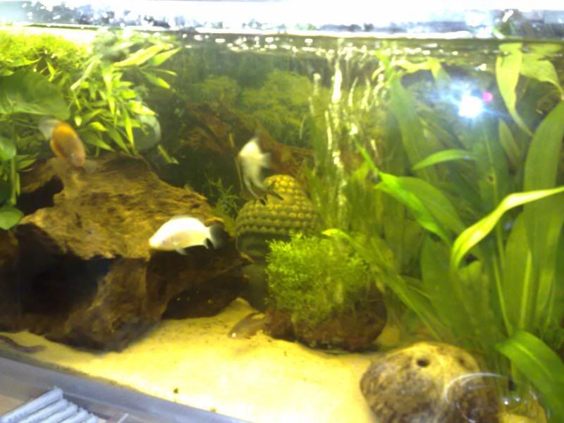 27012008404.jpg