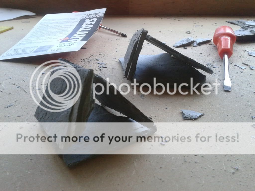 2011-08-27141111.jpg