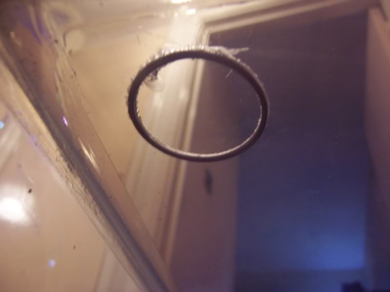 100_4880.jpg