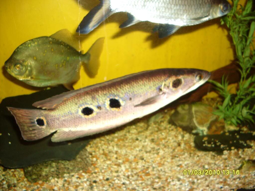 march2010076.jpg