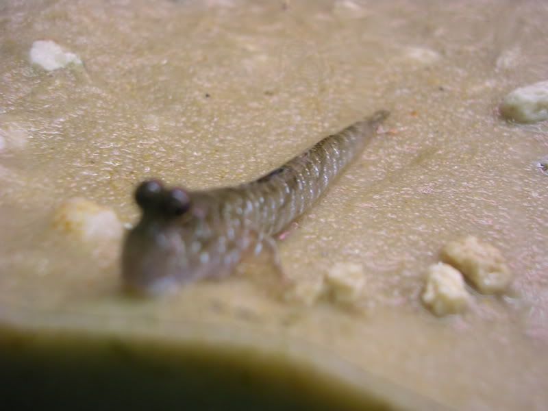 DSCN2991.jpg