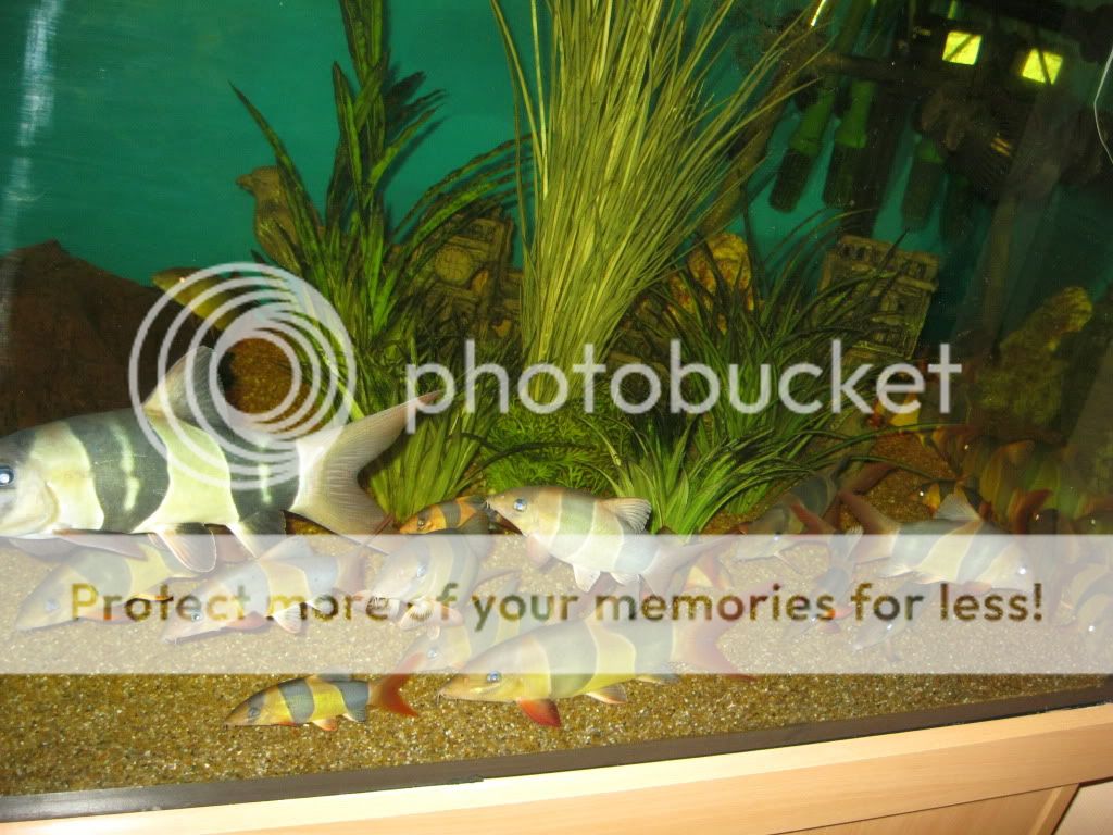 IMG_1672.jpg