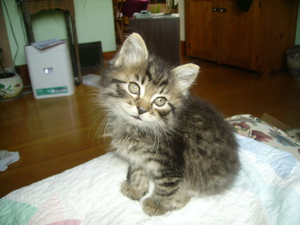Picture335.jpg