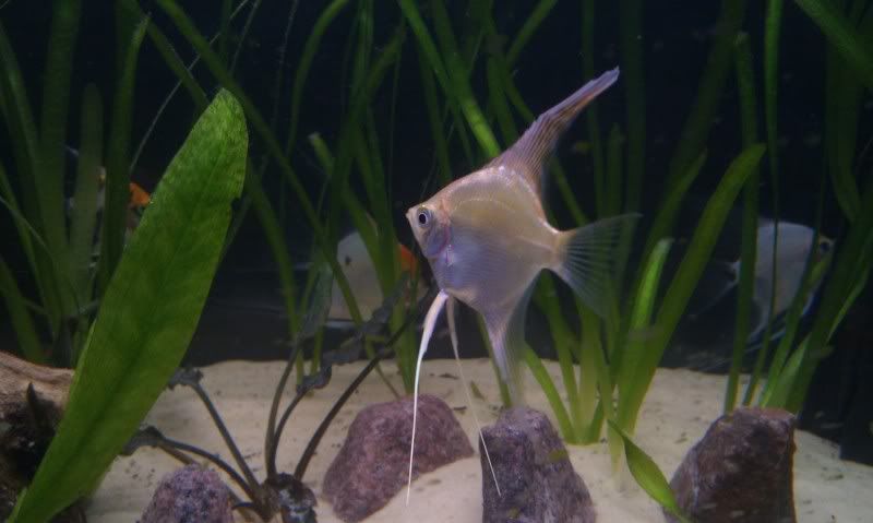 IMAG0939.jpg