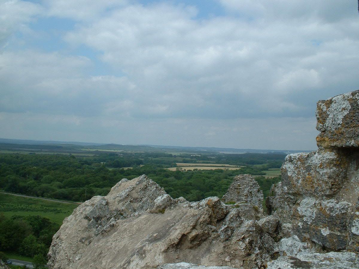 Picture337.jpg