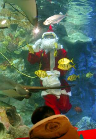 santa-fish1_121702.jpg