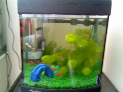 fishtank1.jpg