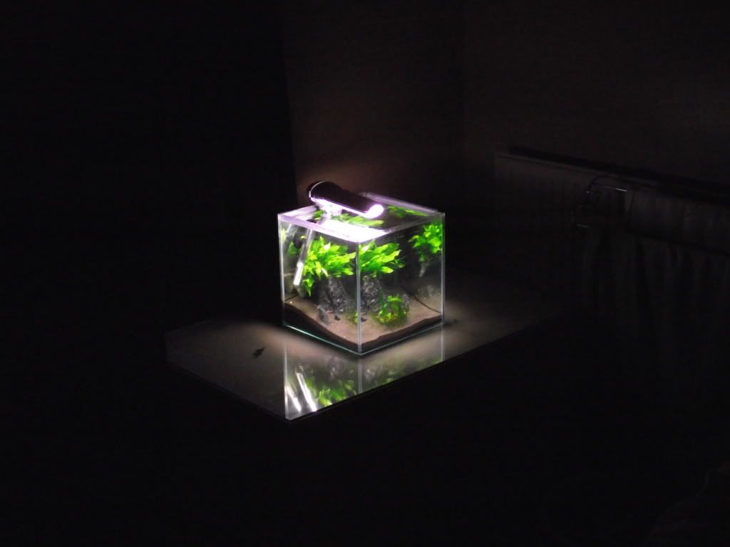 DSCF1363.jpg